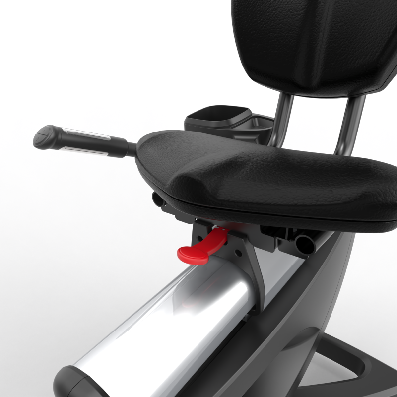 Bicicleta Reclinada NextGen EB8800 / Obelix — vista 4
