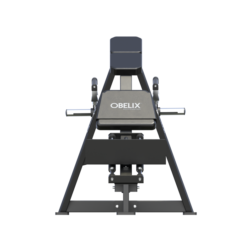 T-Bar Row Beast / Obelix — vista 4