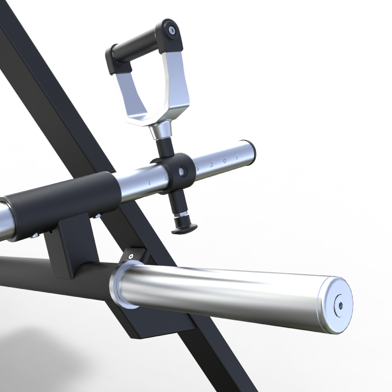 T-Bar Row Beast / Obelix — vista 7