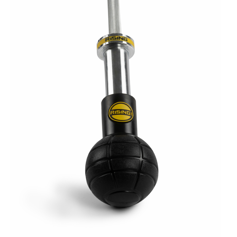 Landmine Ball 360 / Rising — vista 2