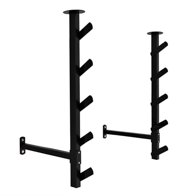 Salmon Ladder / Araknido